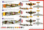 1:72 Curtiss Hawk H-75C1 "Afrika felett"