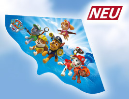 MANCS őrjárat – egyszálú sárkány