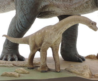 1:35 Brachiosaurus Dioráma Készlet