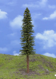 Mintafa – lucfenyő törzzsel, magassága 18–20 cm