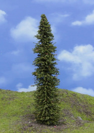 Mintafa – lucfenyő, magassága 18–19 cm