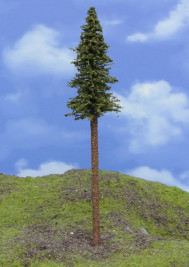 Mintafa – lucfenyő törzzsel, magassága 17–20 cm