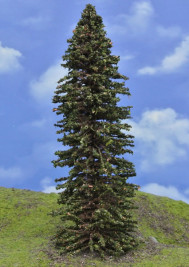 Mintafa – lucfenyő, magassága 23–26 cm