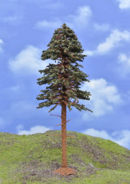 Mintafa – fenyő felső törzzsel, magassága 18–20 cm