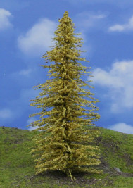 Mintafa – sárga vörösfenyő, magassága 16–18 cm