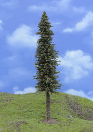 Mintafa – lucfenyő, felső törzzsel, magassága 18–20 cm