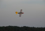 North American P-51D Mustang EPP (színes)
