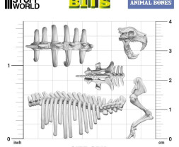 3D Printed Animal Bones – 3D állati csontok és koponyák (52 db)