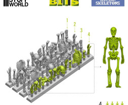 3D Printed Set Human Skeletons – 3D nyomtatott emberi csontvázak (4 db)