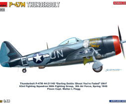 1:48 P-47M Thunderbolt (Advanced kit)