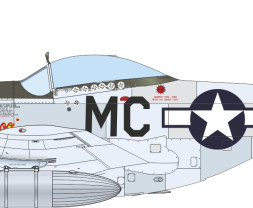 1:72 North American P-51D Mustang (WEEKEND edition)