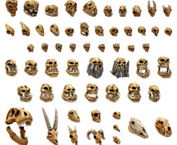 3D Printed Set Battlefield Creature Skulls – 3D nyomtatott szörnykoponyák (300 db)