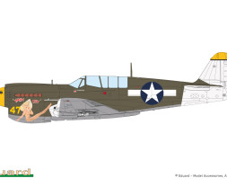 1:48 Curtiss P-40N Warhawk (WEEKEND edition)